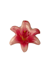 lily phone grip