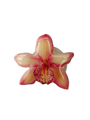 orchid phone grip